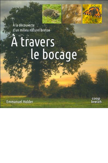 Saluterre. Festival du livre, invitation à la rencontre du vivant. Finistère. Tregunc. Bretagne.