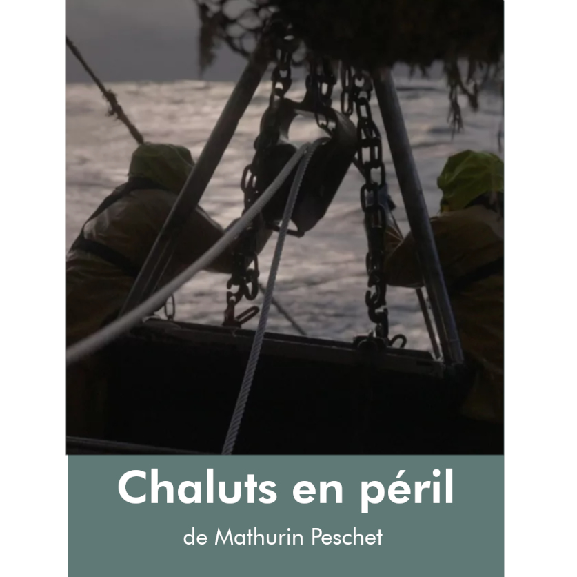 Saluterre. Festival du livre, le vivant dans tous ses états. Finistère. Tregunc. Bretagne.