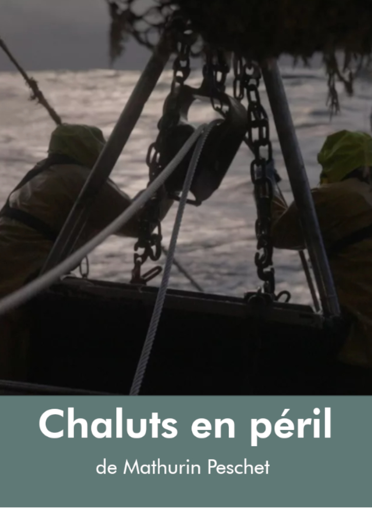 Saluterre. Festival du livre, invitation à la rencontre du vivant. Finistère. Tregunc. Bretagne.