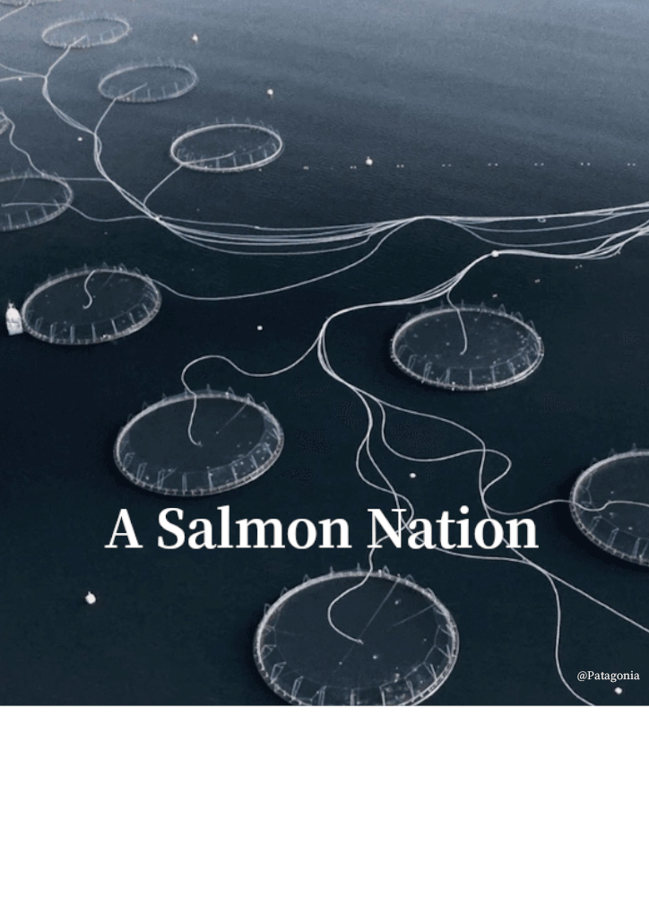 Saluterre. Festival du livre, invitation à la rencontre du vivant. Finistère. Tregunc. Bretagne.