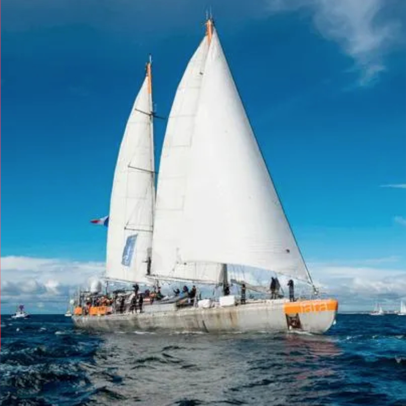 Saluterre. Festival du livre, le vivant dans tous ses états. Finistère. Tregunc. Bretagne.